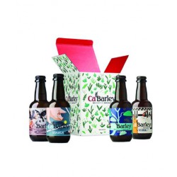 CONFEZIONE REGALO 4 BIRRE